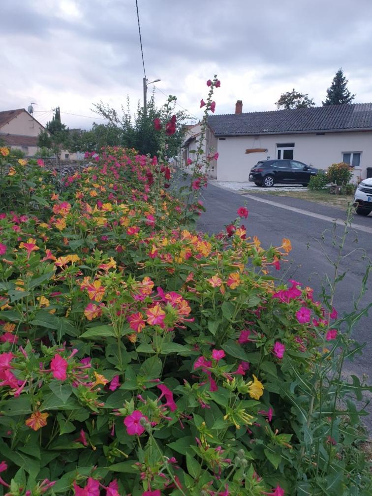 Willa Chez Samb Lussac-les-Châteaux Zewnętrze zdjęcie